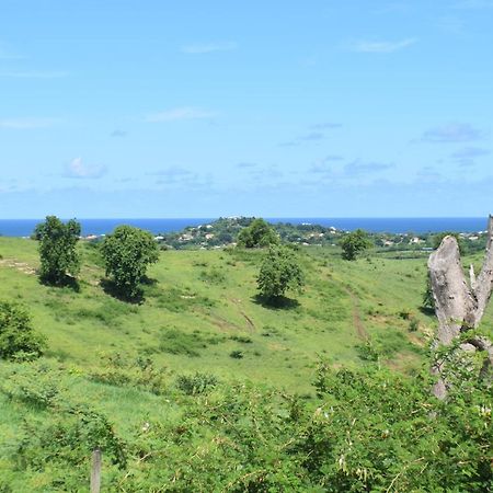 Bungalow La Paillote Villa Le François Екстериор снимка